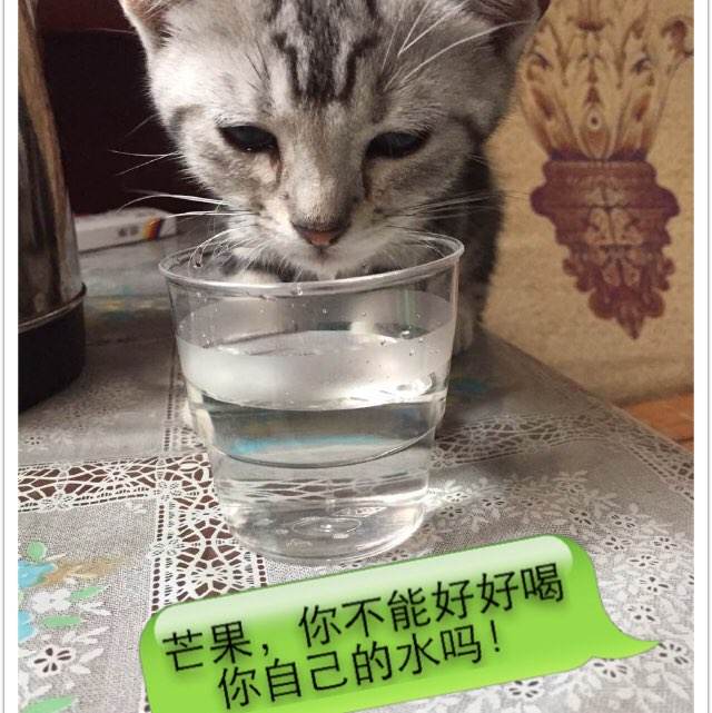 学历在线认证报告编码在哪里查